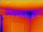 termogram